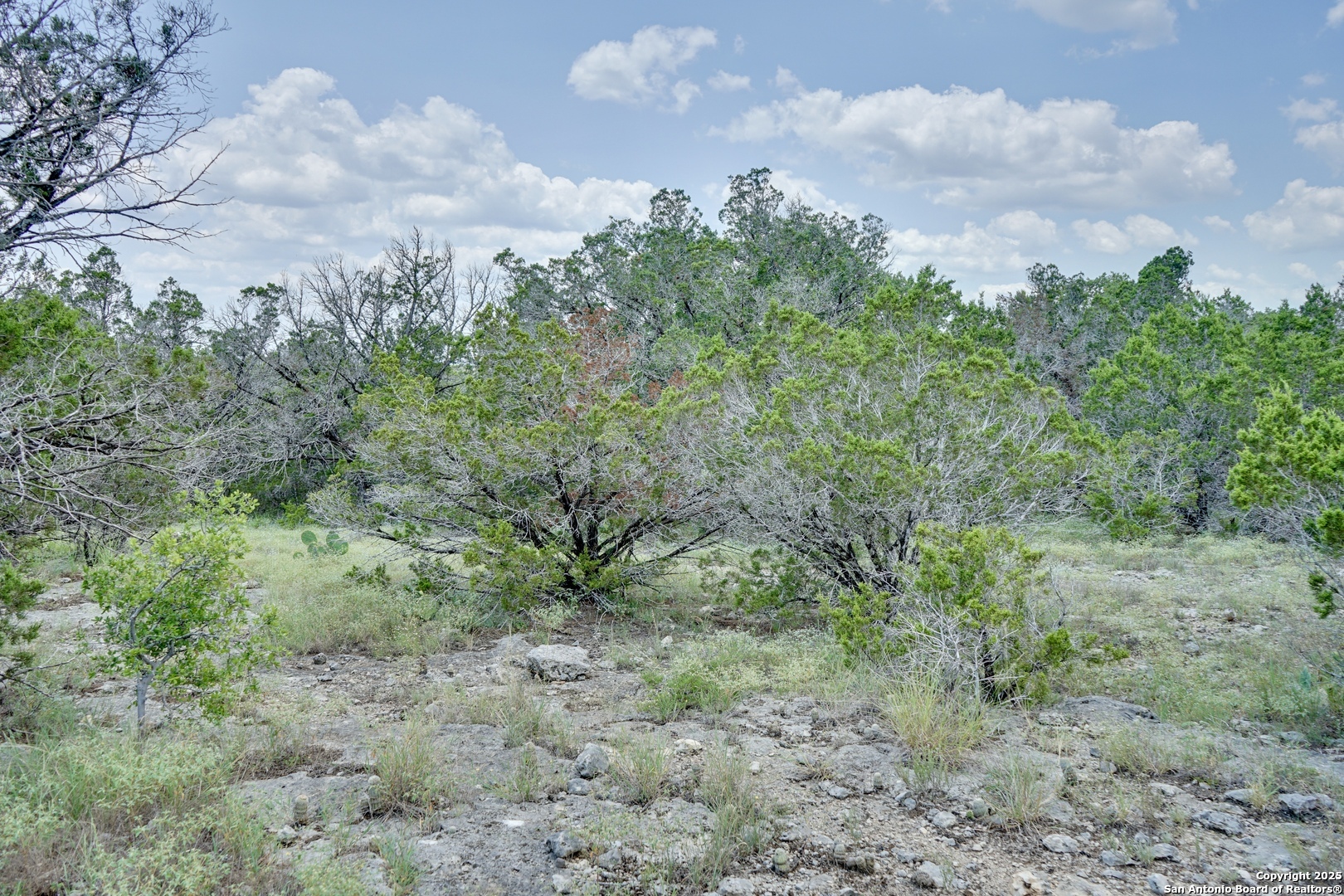 447 Coyote Trail Spring Branch, TX 78070 - Photo 3 of 4 a view of a big yard with lots of green space