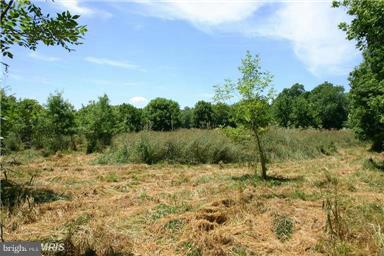 10984 Rocky Ridge Road Keymar, MD 21757 - Photo 10 of 17 View