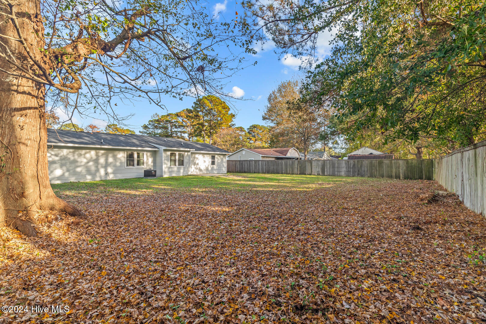 313 Luann Road Jacksonville, NC 28540 - Photo 46 of 47 46