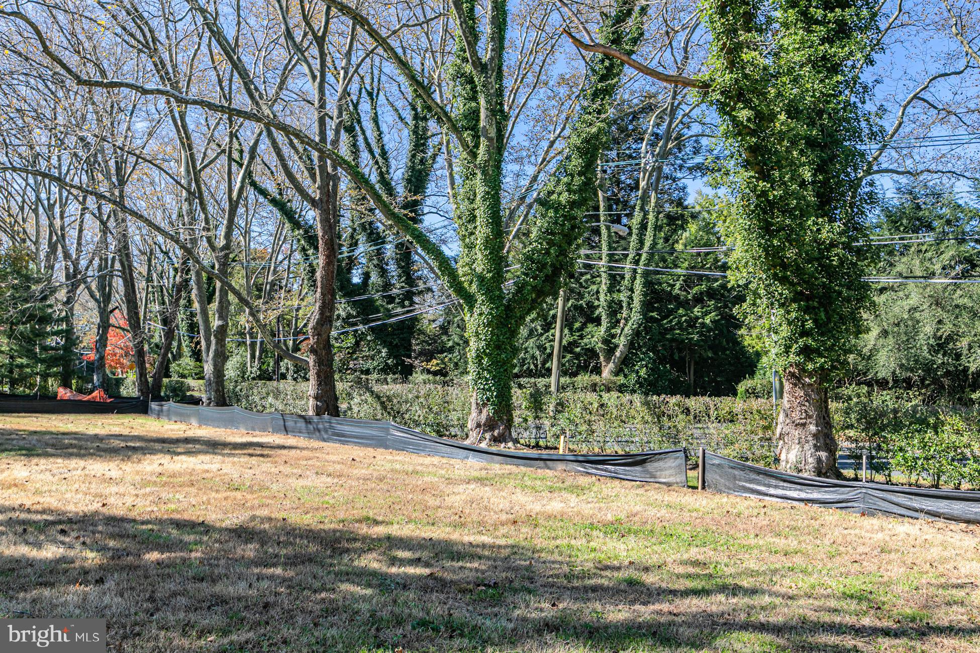 140 Hodge Road Princeton, NJ 08540 - Photo 3 of 15