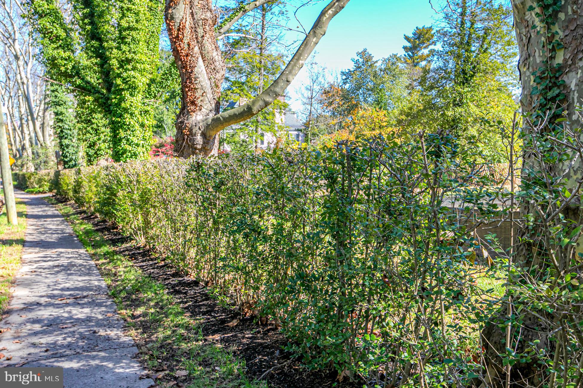 140 Hodge Road Princeton, NJ 08540 - Photo 10 of 15