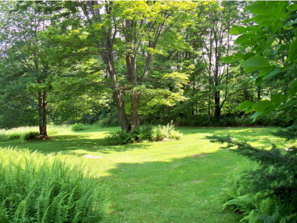 1653 Northam Road Shrewsbury, VT 05738 - Photo 3 of 36