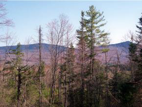 1653 Northam Road Shrewsbury, VT 05738 - Photo 4 of 36