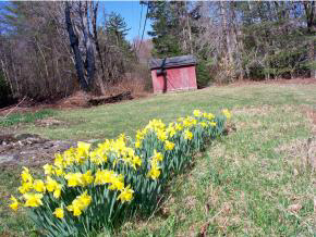 1653 Northam Road Shrewsbury, VT 05738 - Photo 36 of 36