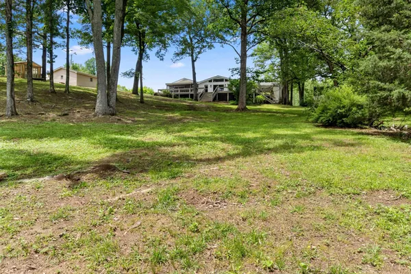 a view of a trees in a yard