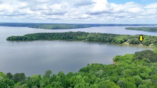 a view of a lake with a city