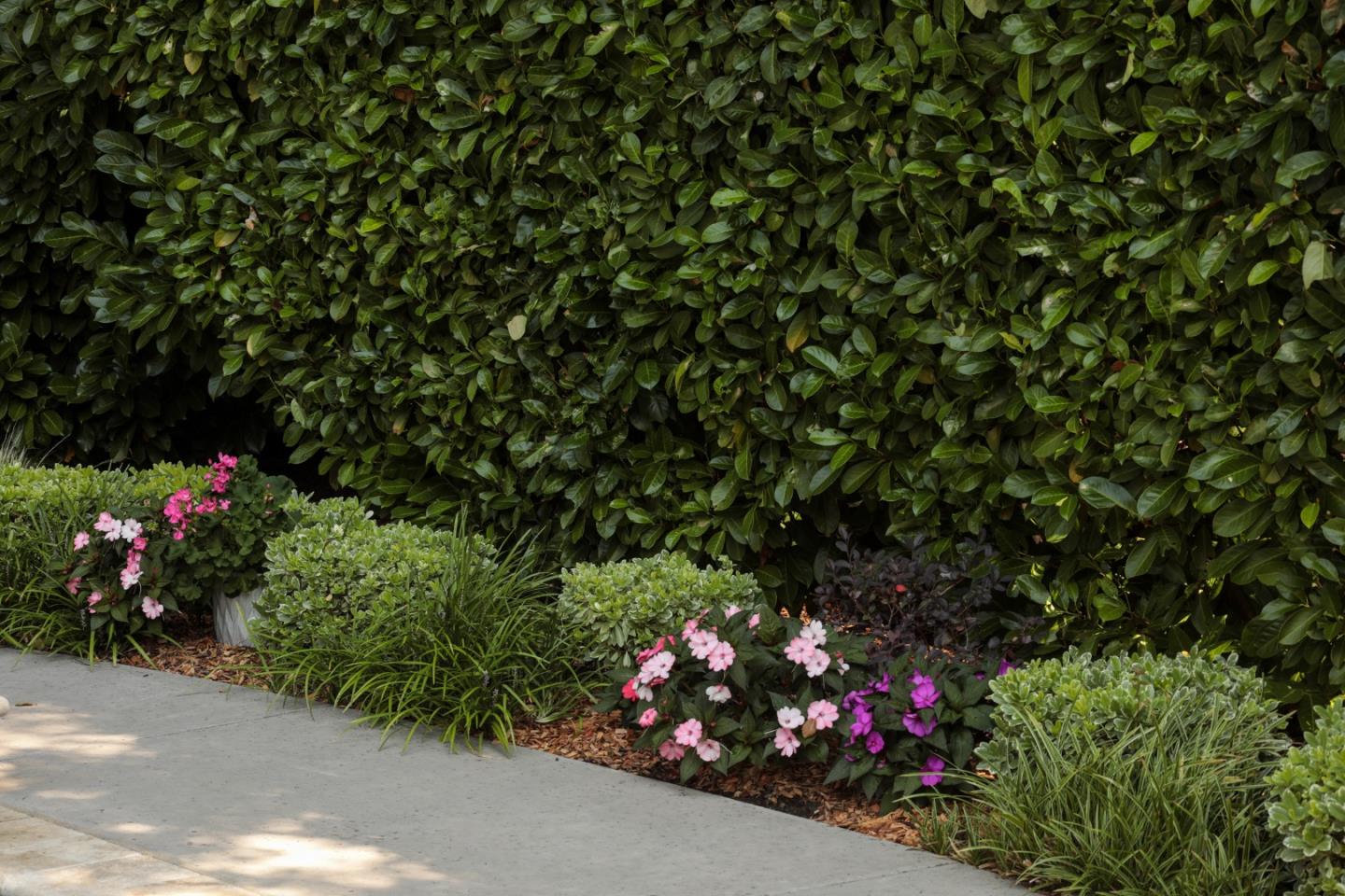 9 Park Drive Atherton, CA 94027 - Photo 50 of 56 a front view of a house with a flower garden
