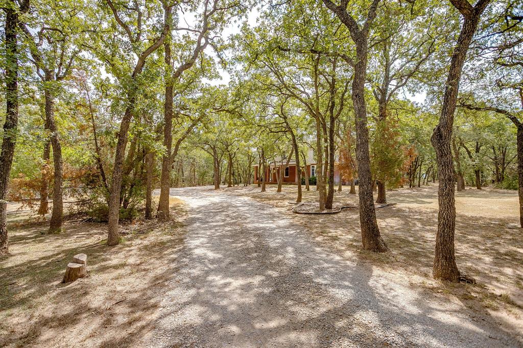 3500 Henderson Ranch Road Bridgeport, TX 76426 - Photo 5 of 40 a view of outdoor space with trees
