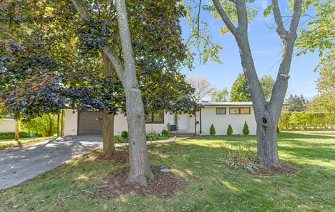 a view of a house with backyard and a tree