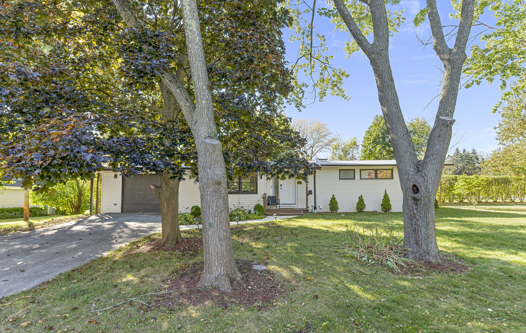 a view of a house with backyard and a tree