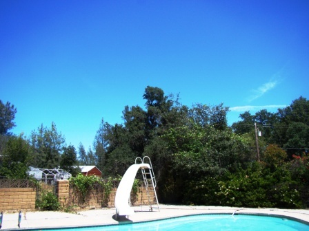 12221 Sandstone Drive Redding, CA 96003 - Photo 19 of 33 a view of a yard with large trees