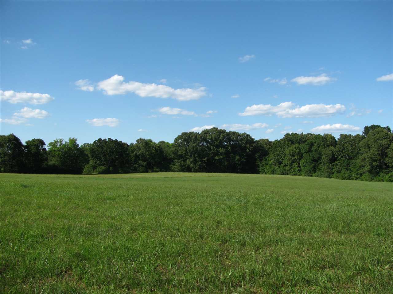 2005 Kendrick Road Michie, TN 38357 - Photo 23 of 25 Gallery Image 23