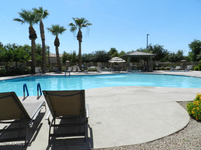 4454 East Del Rio Street Gilbert, AZ 85295 - Photo 12 of 16 pool