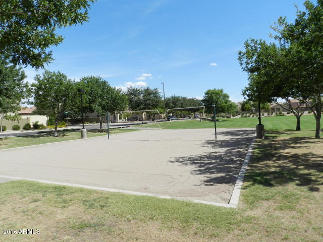 4454 East Del Rio Street Gilbert, AZ 85295 - Photo 15 of 16 volleyball