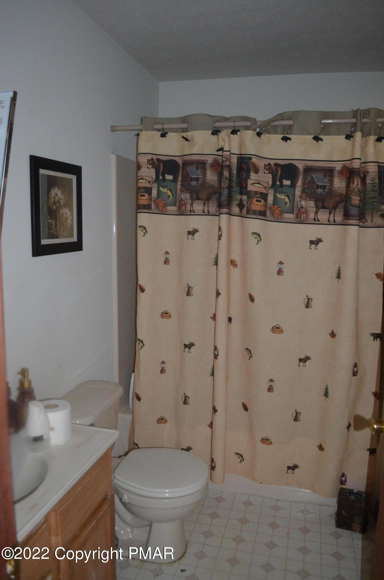 145 Pontiac Path Pocono Lake, PA 18347 - Photo 9 of 13 a bathroom with a toilet and a shower curtain