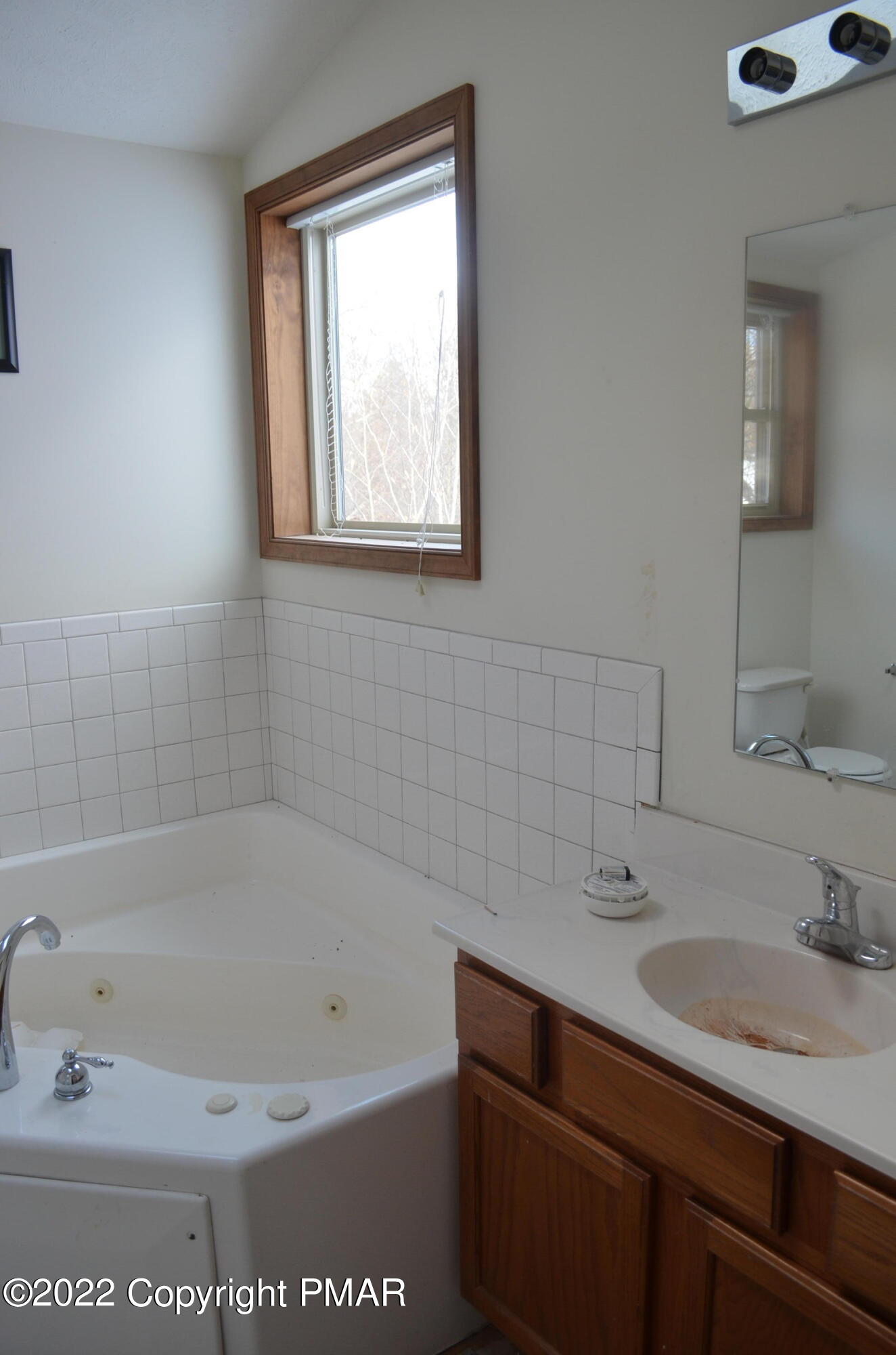 145 Pontiac Path Pocono Lake, PA 18347 - Photo 10 of 13 a bathroom with a tub a sink and mirror
