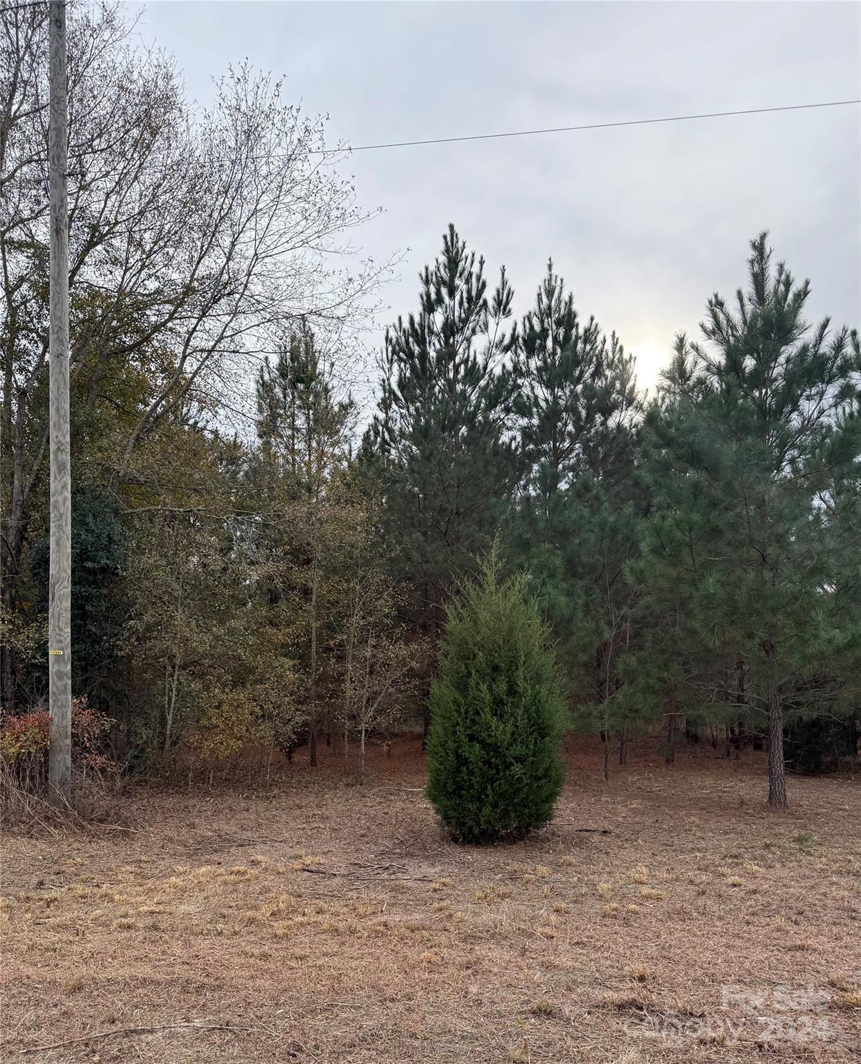 Tbd Lee Lane Bennettsville, SC 29512 - Photo 3 of 9