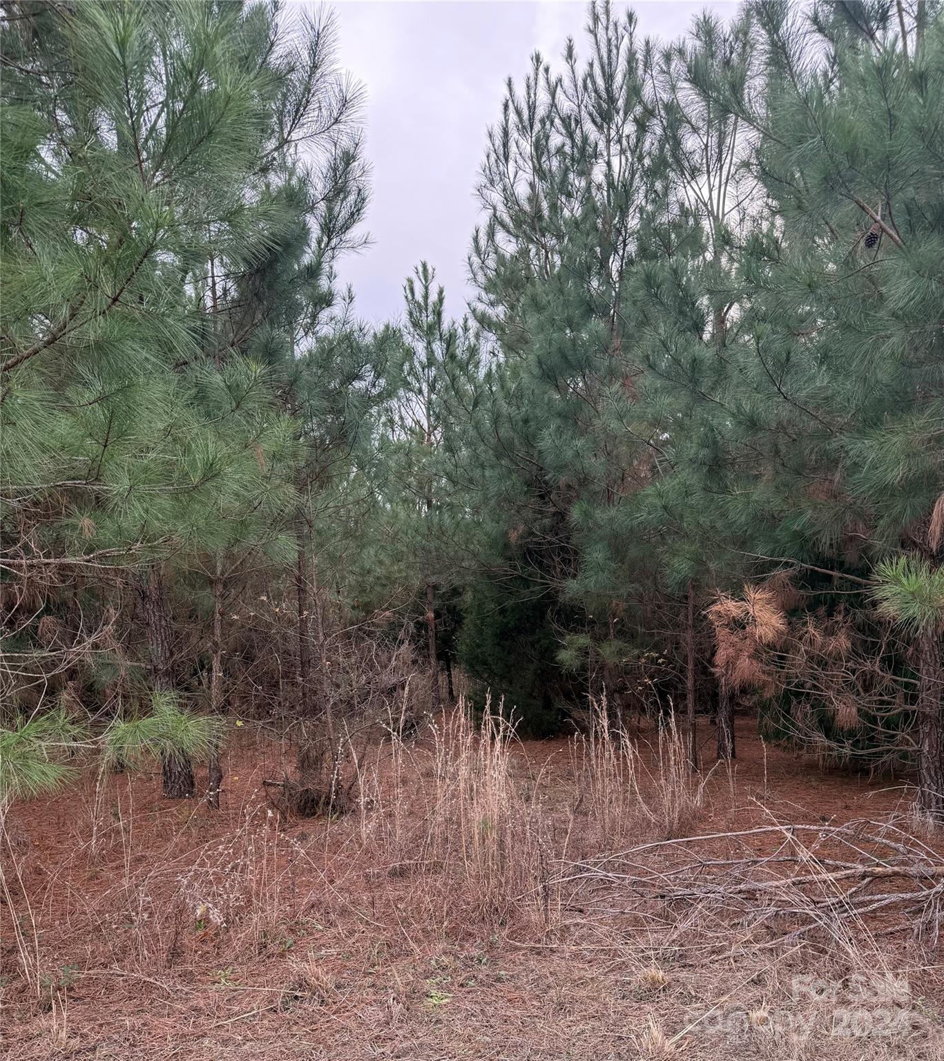 Tbd Lee Lane Bennettsville, SC 29512 - Photo 5 of 9