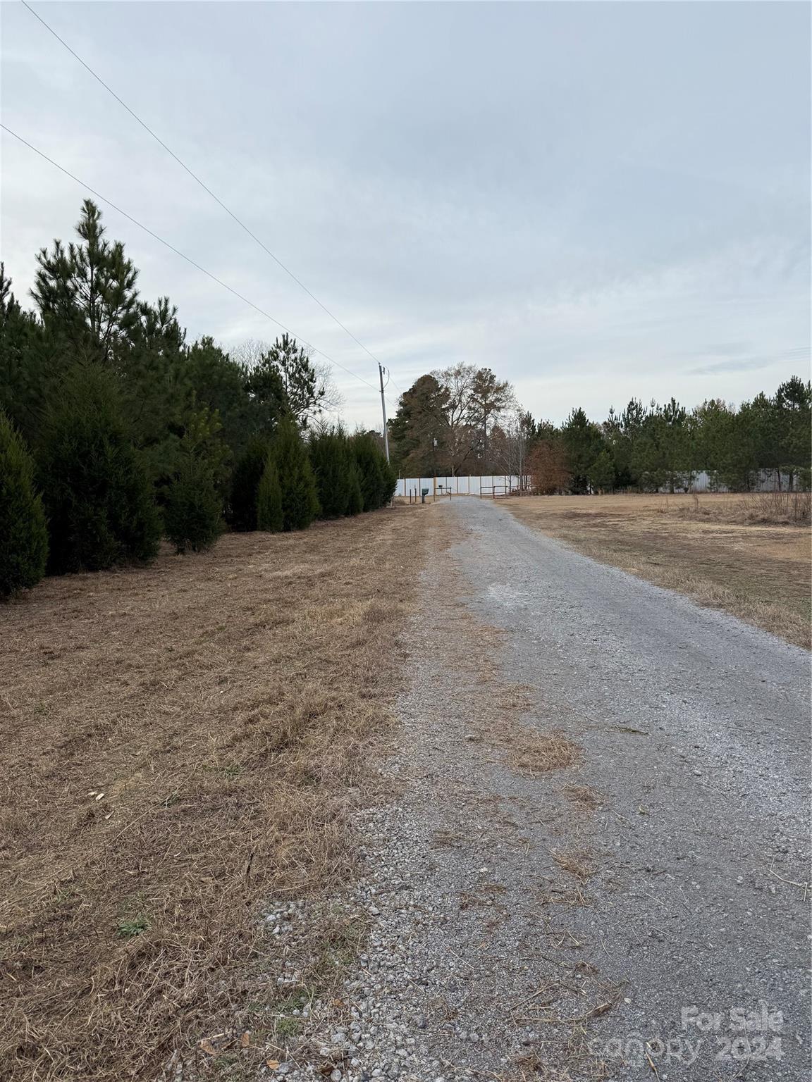 Tbd Lee Lane Bennettsville, SC 29512 - Photo 7 of 9