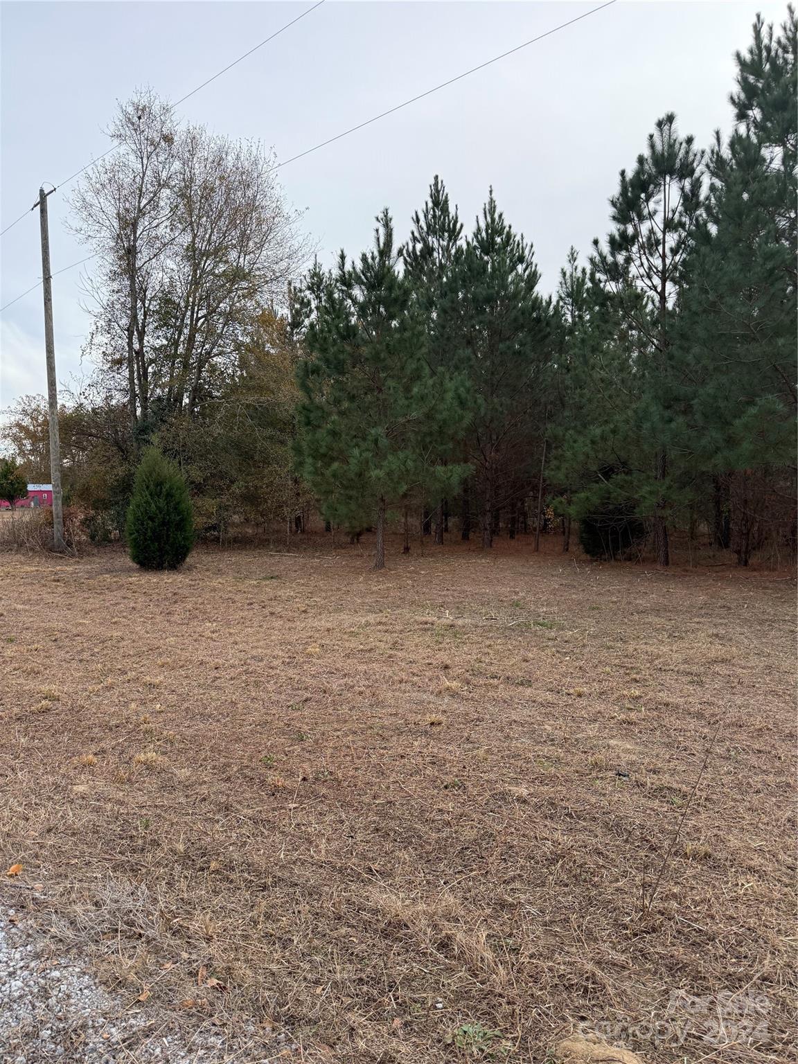 Tbd Lee Lane Bennettsville, SC 29512 - Photo 8 of 9