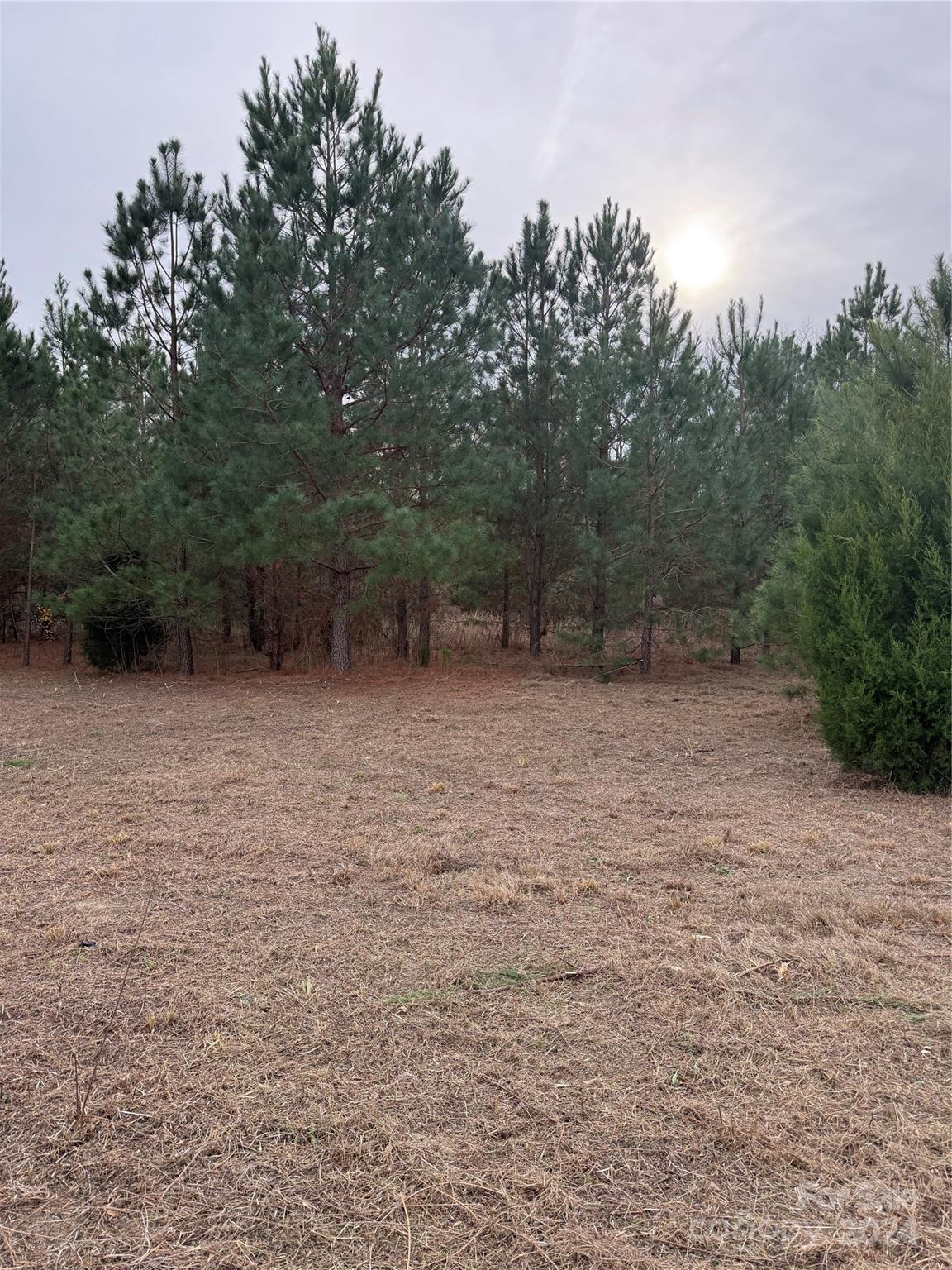 Tbd Lee Lane Bennettsville, SC 29512 - Photo 9 of 9