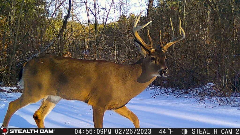 Parcel B West County Line Road Greenville, MI 48838 - Photo 2 of 21 IMG_9695