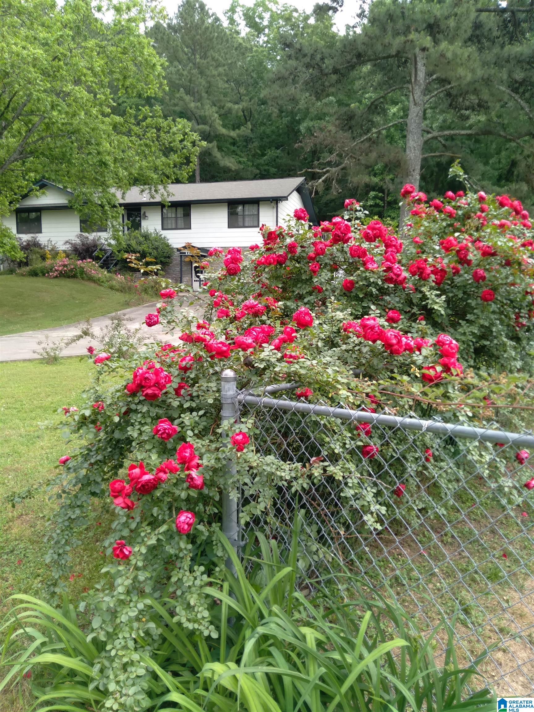 6432 South Chalkville Road Trussville, AL 35173 - Photo 2 of 28