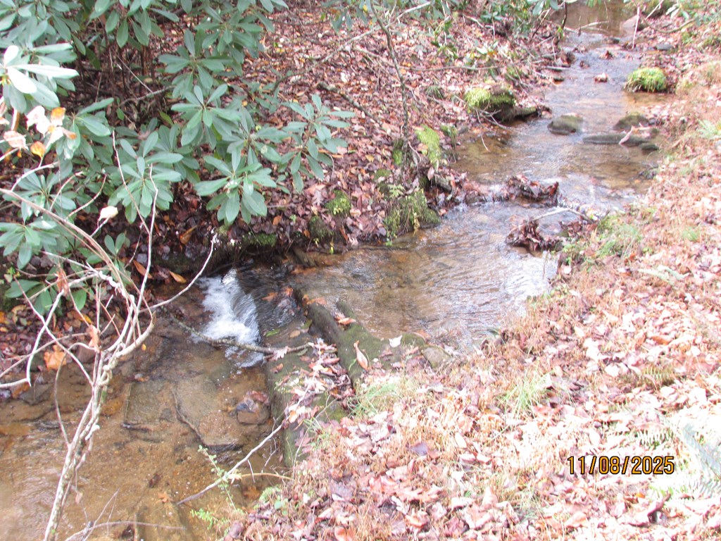 6 Wikle Road Hayesville, NC 28904 - Photo 19 of 19 Gallery Image 19