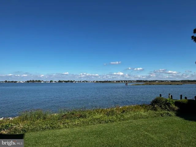 a view of an ocean and a yard