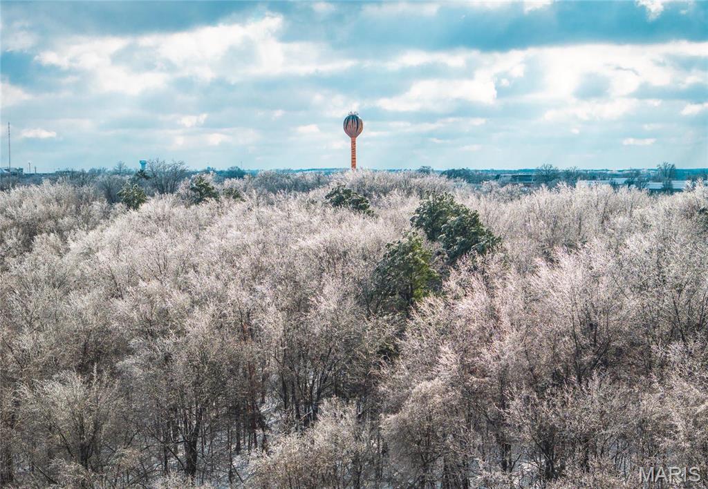0 Zeigenbein Rd Street St. Robert, MO 65584 - Photo 17 of 18