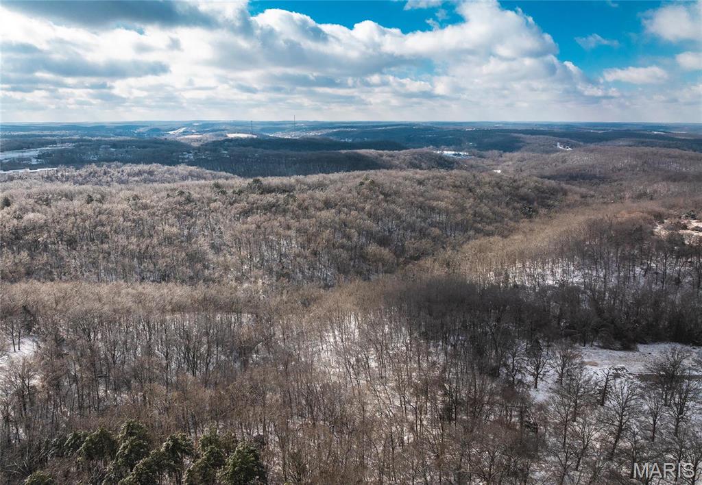 0 Zeigenbein Rd Street St. Robert, MO 65584 - Photo 2 of 18