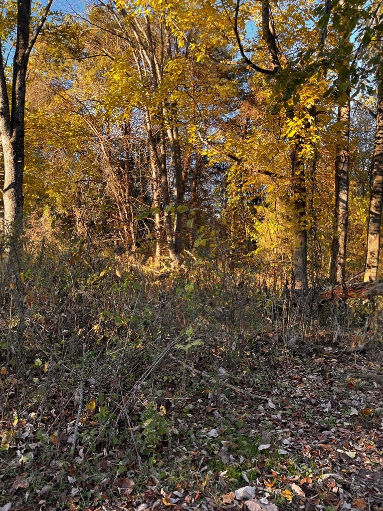 Tbd Reedy Creek Road Bristol, VA 24202 - Photo 9 of 28 Gallery Image 9