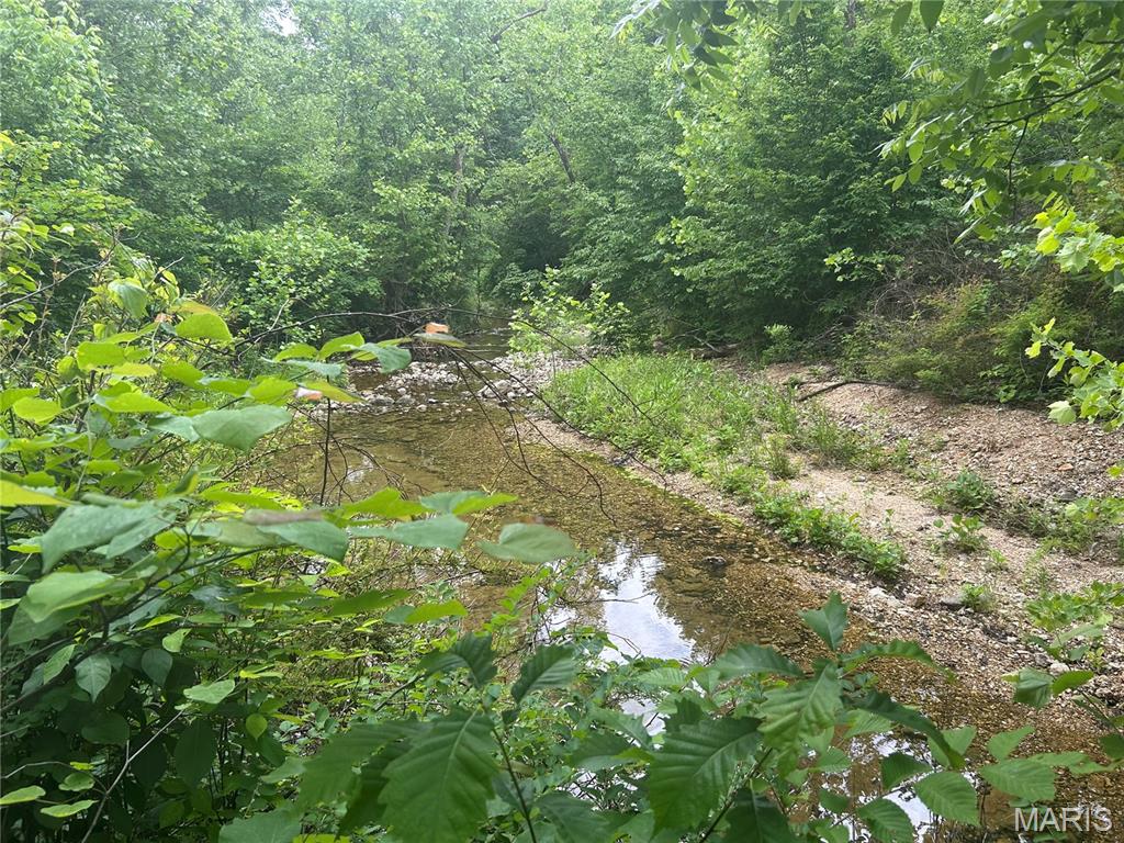 5025 Kolb Hollow Road Climax Springs, MO 65324 - Photo 5 of 9