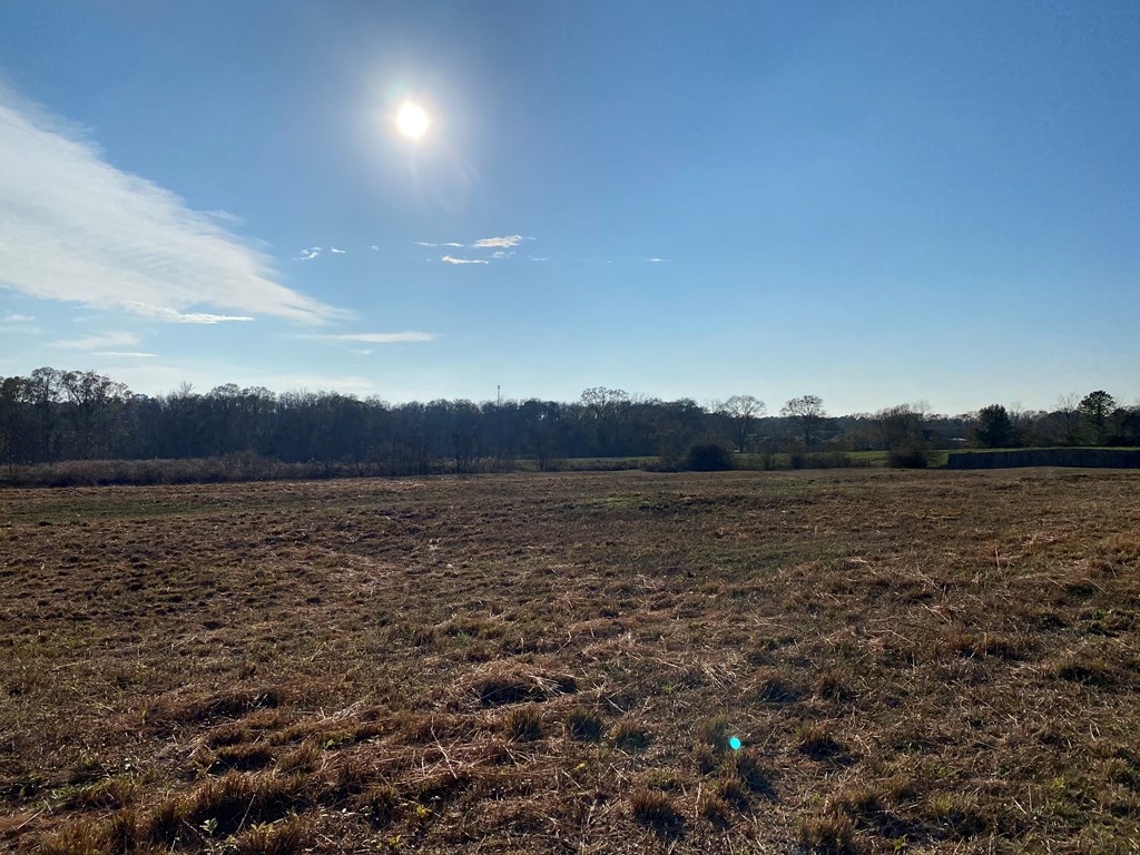 1.958 Middleton Road Dothan, AL 36301 - Photo 3 of 4