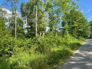 6-l 4 Muzzy Ridge Road Searsmont, ME 04973 - Photo 4 of 7 IMG953433