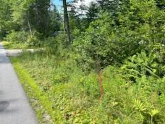 6-l 4 Muzzy Ridge Road Searsmont, ME 04973 - Photo 5 of 7 IMG953434