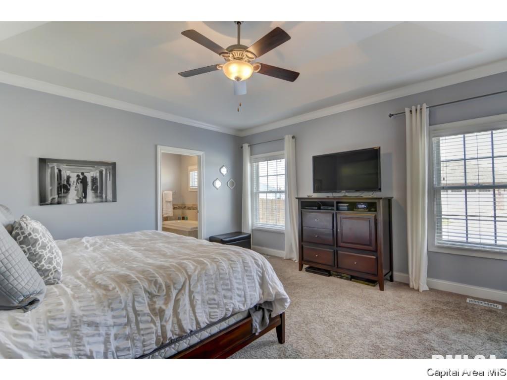 1524 Winston Drive Springfield, IL 62711 - Photo 19 of 30 Gallery Image 19
