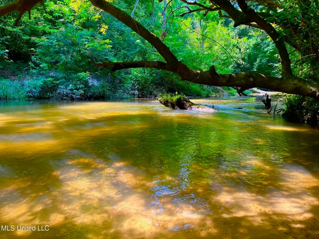 $157,850 | Twin Bridge Road, Sandy Hook, MS 39478