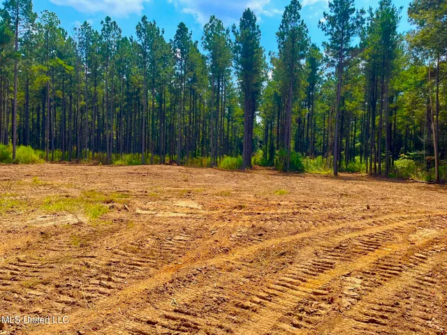 $157,850 | Twin Bridge Road, Sandy Hook, MS 39478