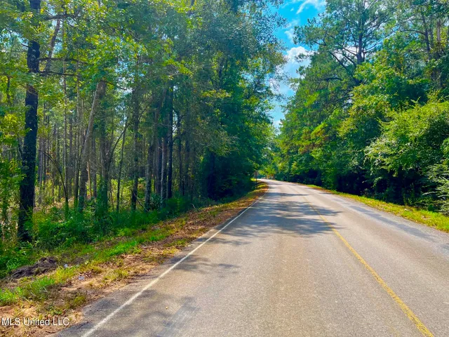 $157,850 | Twin Bridge Road, Sandy Hook, MS 39478