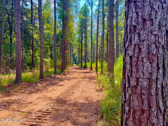 $157,850 | Twin Bridge Road, Sandy Hook, MS 39478