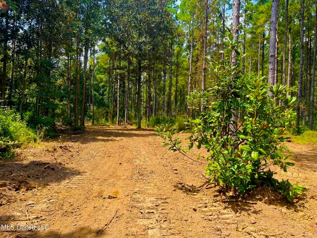 $157,850 | Twin Bridge Road, Sandy Hook, MS 39478