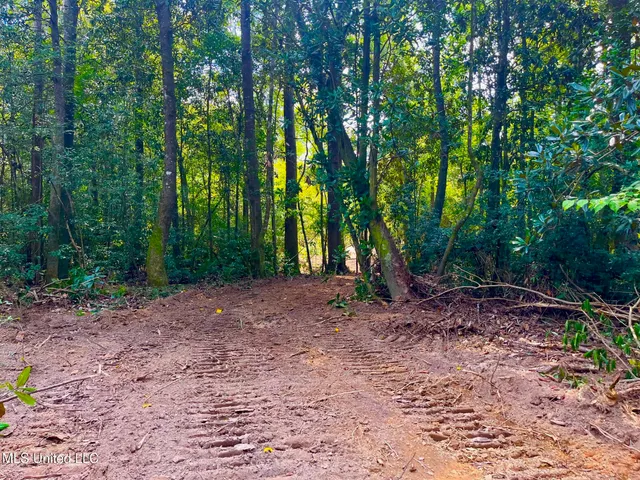 $157,850 | Twin Bridge Road, Sandy Hook, MS 39478