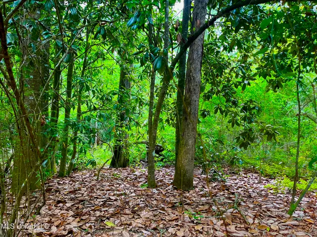 $157,850 | Twin Bridge Road, Sandy Hook, MS 39478