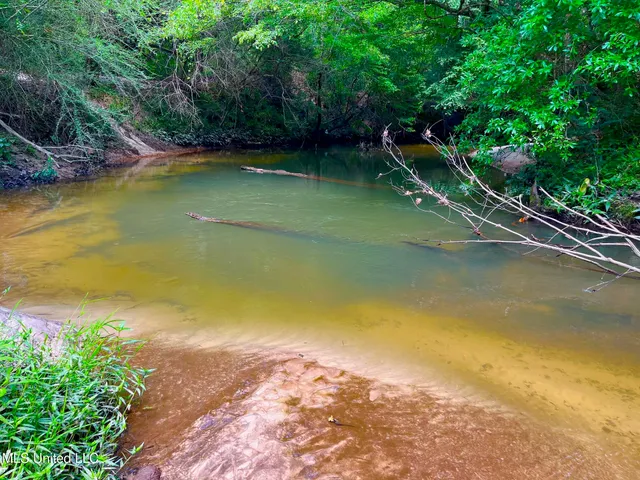 $157,850 | Twin Bridge Road, Sandy Hook, MS 39478