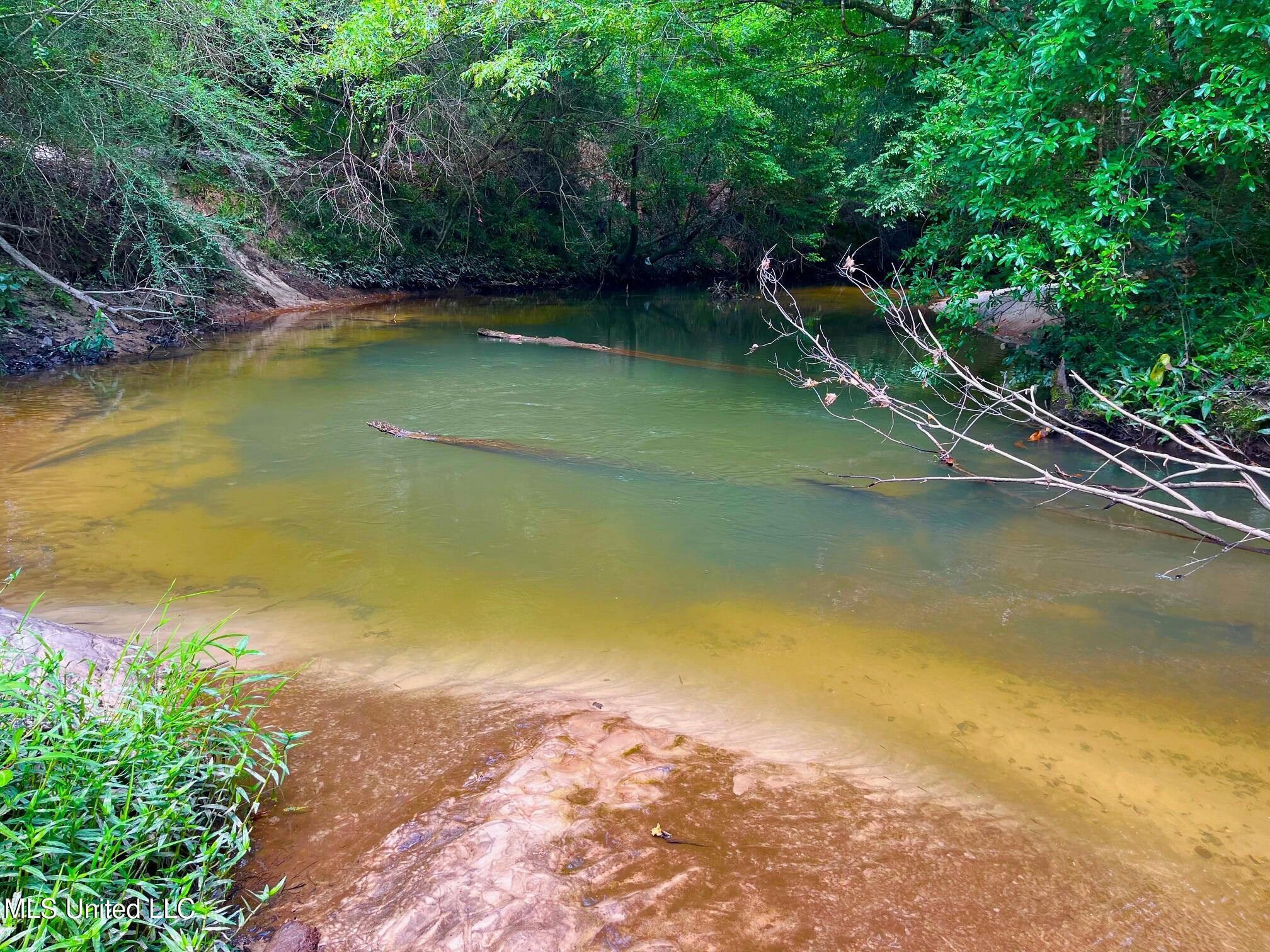 Twin Bridge Road Sandy Hook, MS 39478 - Photo 3 of 15 ww3