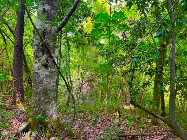 $157,850 | Twin Bridge Road, Sandy Hook, MS 39478