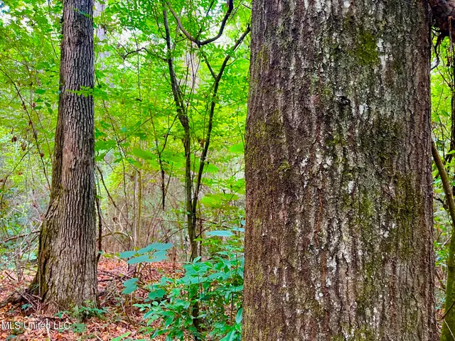 $157,850 | Twin Bridge Road, Sandy Hook, MS 39478