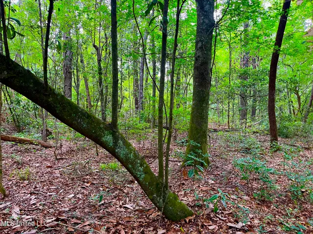 $157,850 | Twin Bridge Road, Sandy Hook, MS 39478