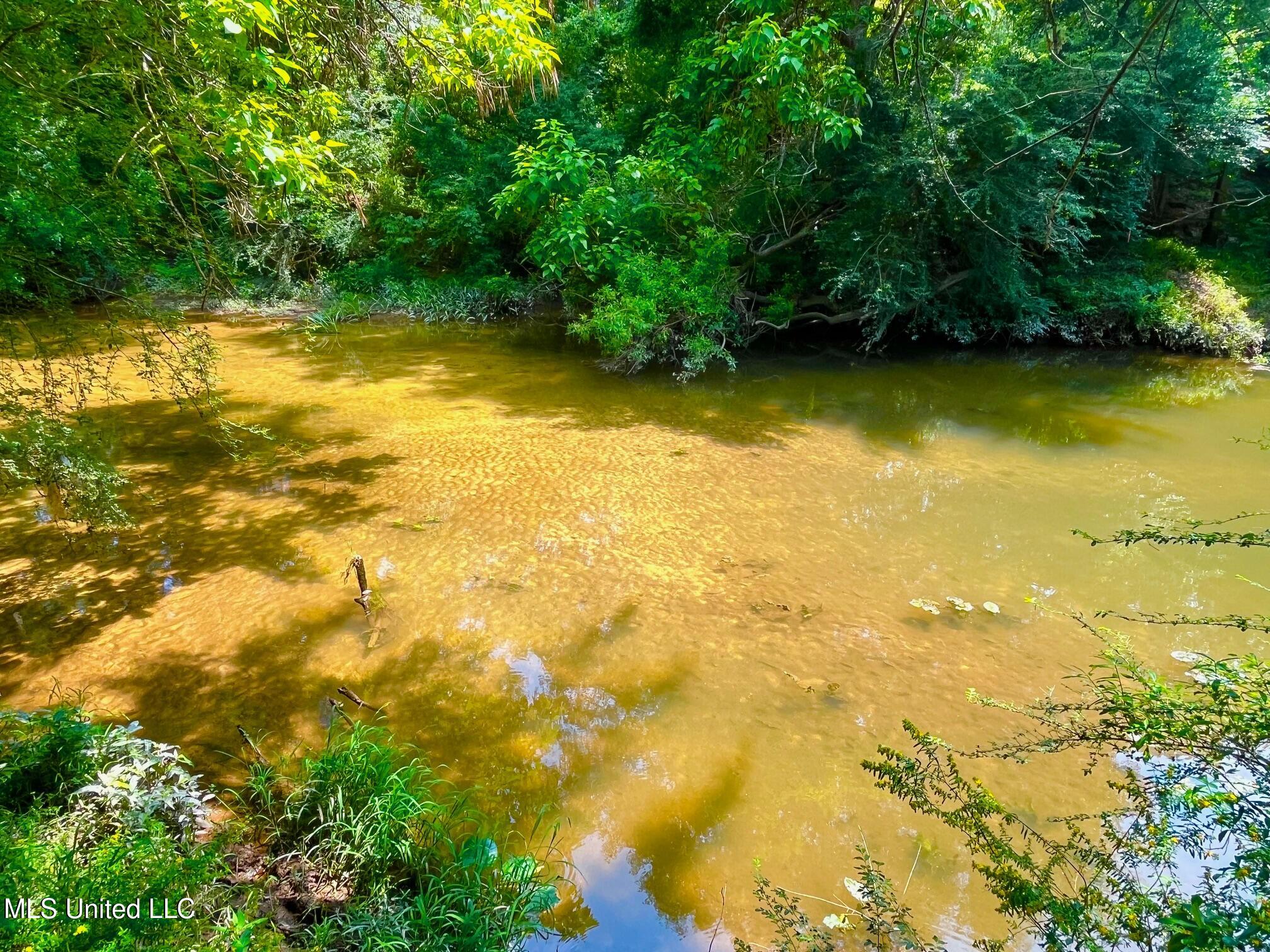 Twin Bridge Road Sandy Hook, MS 39478 - Photo 7 of 15 ww8